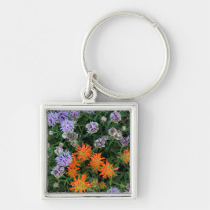 USA, Utah, Uinta-Wasatch-Cache National Forest 3 Key Ring