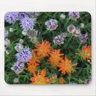USA, Utah, Uinta-Wasatch-Cache National Forest 3 Mouse Mat
