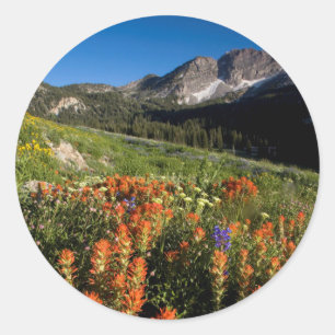 USA, Utah, Uinta-Wasatch-Cache National Forest Classic Round Sticker