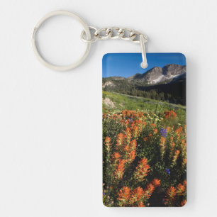 USA, Utah, Uinta-Wasatch-Cache National Forest Key Ring
