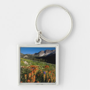 USA, Utah, Uinta-Wasatch-Cache National Forest Key Ring