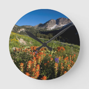 USA, Utah, Uinta-Wasatch-Cache National Forest Round Clock