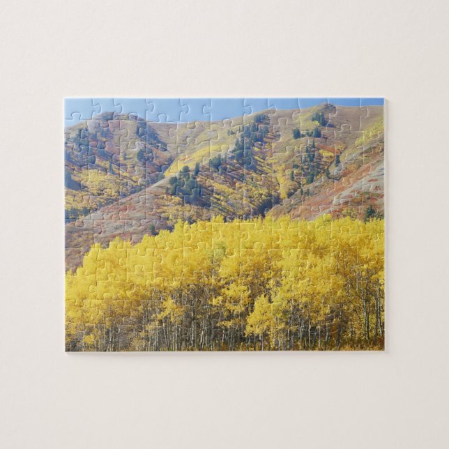 USA, Utah, Wasatch-Cache National Forest, Jigsaw Puzzle (Horizontal)