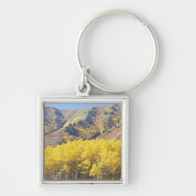 USA, Utah, Wasatch-Cache National Forest, Key Ring (Front)