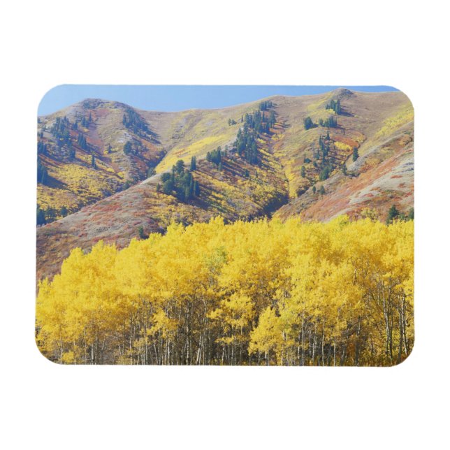 USA, Utah, Wasatch-Cache National Forest, Magnet (Horizontal)