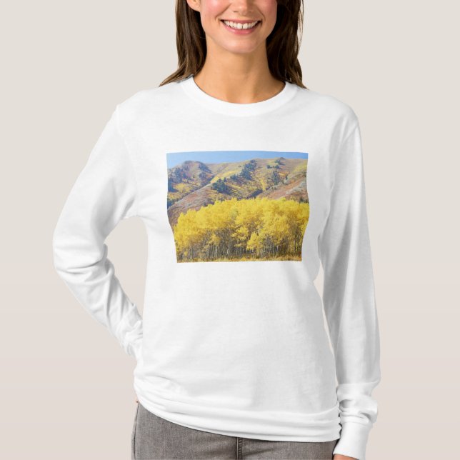 USA, Utah, Wasatch-Cache National Forest, T-Shirt (Front)