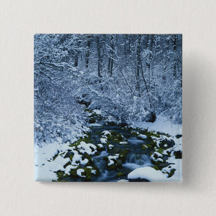 USA, Utah, Wasatch-Catch National Forest, 15 Cm Square Badge