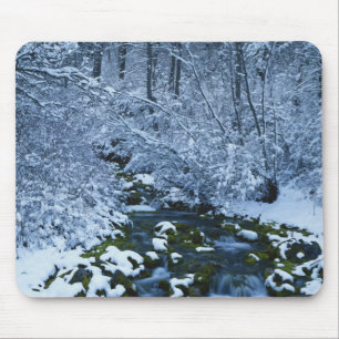 USA, Utah, Wasatch-Catch National Forest, Mouse Mat