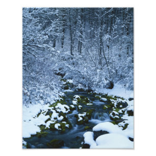 USA, Utah, Wasatch-Catch National Forest, Photo Print
