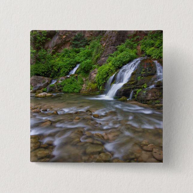 USA, Utah, Zion National Park.  Big Springs in 15 Cm Square Badge (Front)