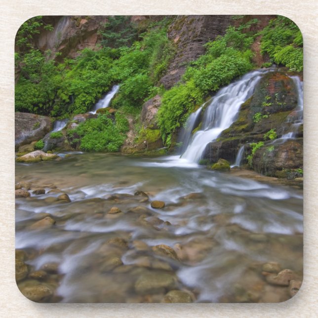 USA, Utah, Zion National Park.  Big Springs in Coaster (Front)