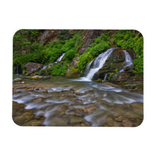 USA, Utah, Zion National Park.  Big Springs in Magnet
