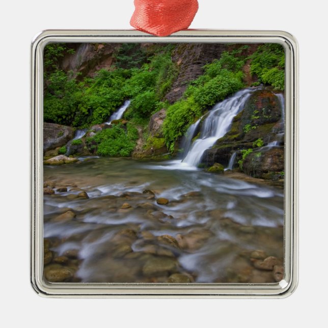 USA, Utah, Zion National Park.  Big Springs in Metal Tree Decoration (Front)