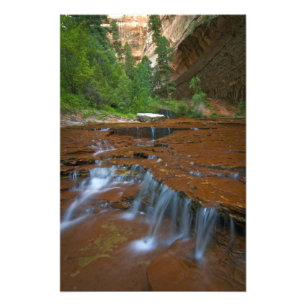 USA, Utah, Zion National Park. Scenic from 2 Photo Print