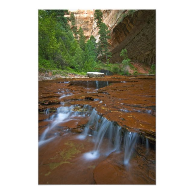 USA, Utah, Zion National Park. Scenic from 2 Photo Print (Front)