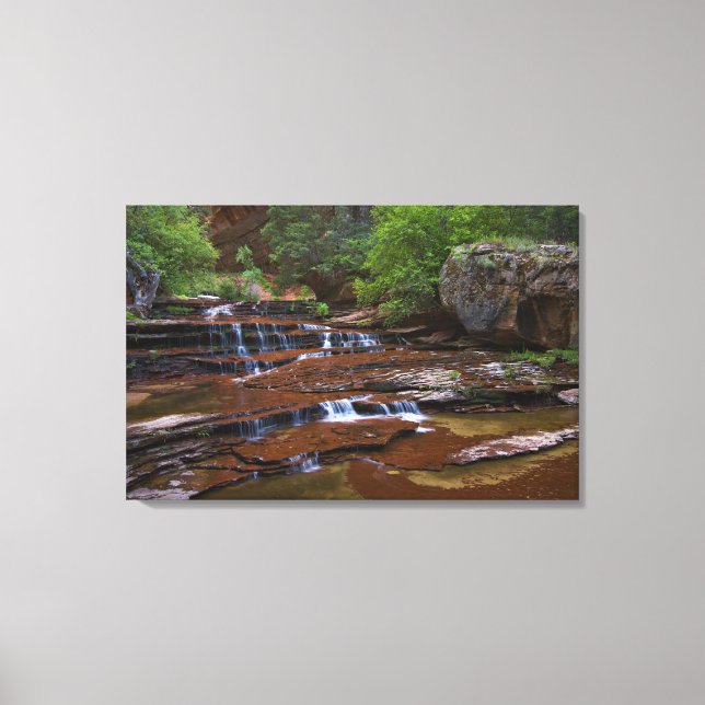 USA, Utah, Zion National Park. Scenic from 4 Canvas Print (Front)