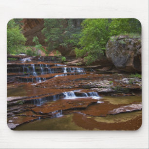 USA, Utah, Zion National Park. Scenic from 4 Mouse Mat