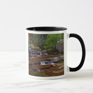 USA, Utah, Zion National Park. Scenic from 4 Mug