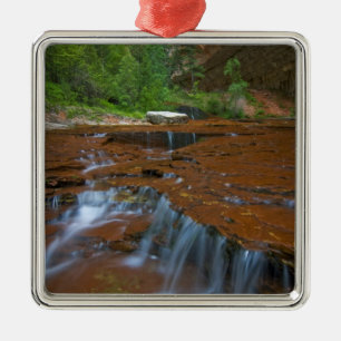 USA, Utah, Zion National Park. Scenic from Metal Tree Decoration