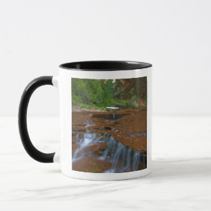 USA, Utah, Zion National Park. Scenic from Mug