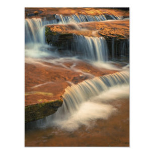 USA, Utah, Zion National Park. Scenic from Photo Print