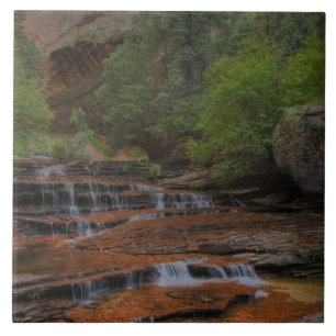 USA, Utah, Zion National Park.  Scenic from the Tile