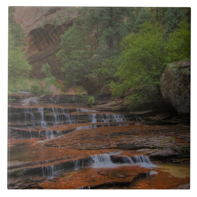 USA, Utah, Zion National Park.  Scenic from the Tile (Front)