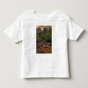 USA, Utah, Zion National Park. Scenic from the Toddler T-Shirt