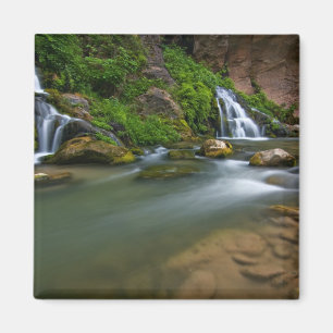 USA, Utah, Zion National Park. The Virgin Magnet