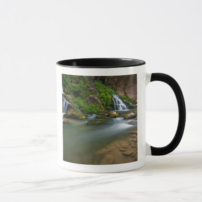 USA, Utah, Zion National Park. The Virgin Mug (Right)