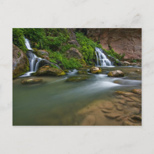 USA, Utah, Zion National Park. The Virgin Postcard