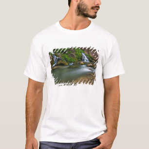 USA, Utah, Zion National Park. The Virgin T-Shirt