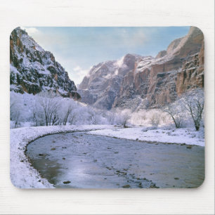 USA, Utah, Zion NP. New snow covers the canyon Mouse Mat