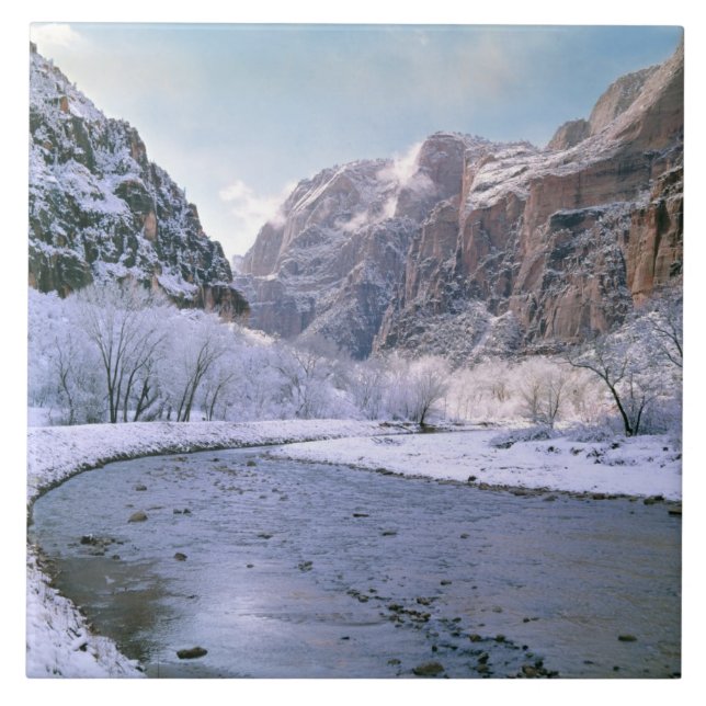 USA, Utah, Zion NP. New snow covers the canyon Tile (Front)