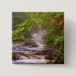 USA, Vermont, East Arlington, Flowing streams 15 Cm Square Badge
