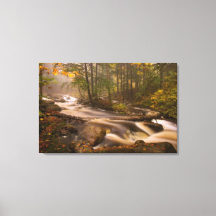 USA, Vermont, East Arlington, Flowing streams 2 Canvas Print