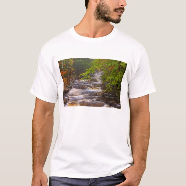 USA, Vermont, East Arlington, Flowing streams T-Shirt (Front)