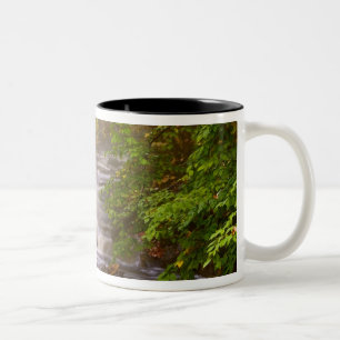 USA, Vermont, East Arlington, Flowing streams Two-Tone Coffee Mug