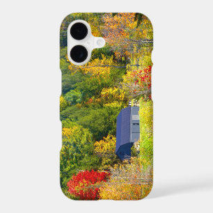 USA, Vermont. Fall foilage along Highway 100.