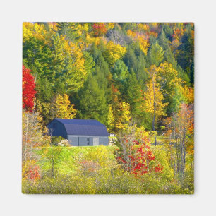 USA, Vermont. Fall foilage along Highway 100. Magnet