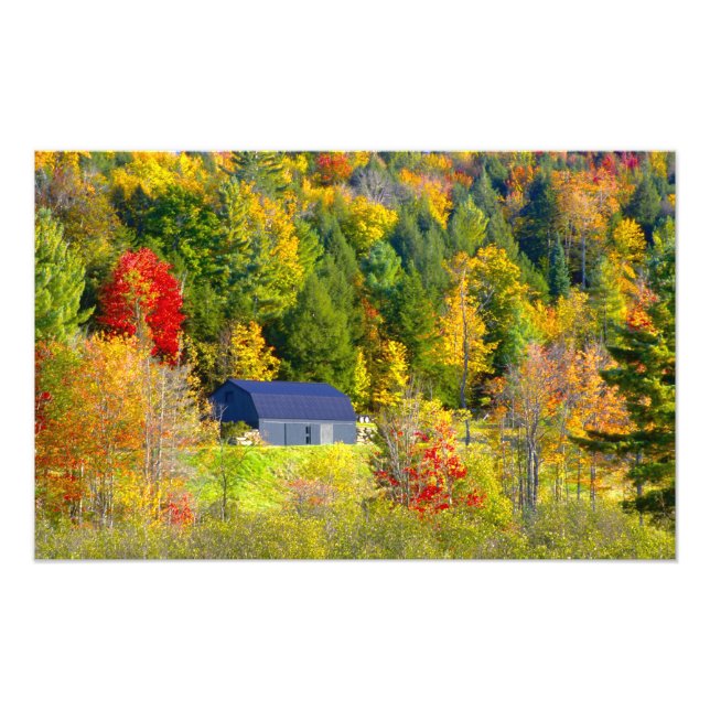 USA, Vermont. Fall foilage along Highway 100. Photo Print (Front)