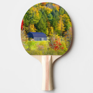 USA, Vermont. Fall foilage along Highway 100. Ping Pong Paddle