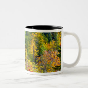 USA, Vermont. Fall foilage along Highway 100. Two-Tone Coffee Mug