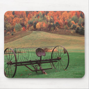 USA, Vermont, Farm. Mouse Mat