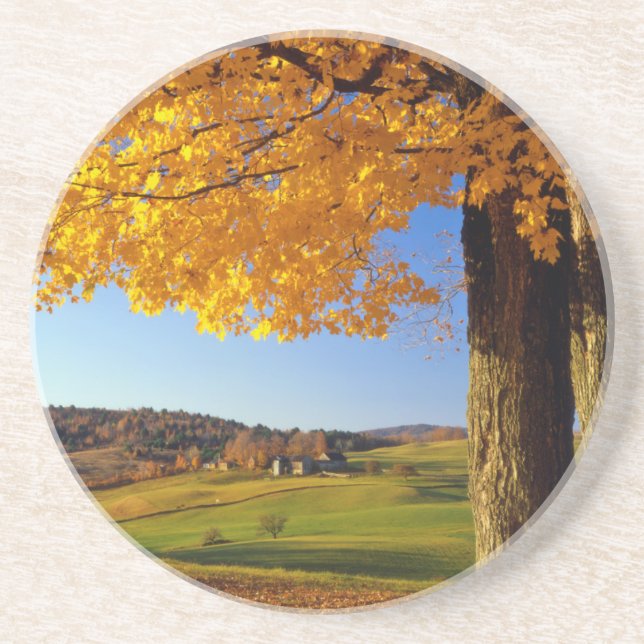 USA, Vermont. Farm Scenic Near South Woodstock Coaster (Front)