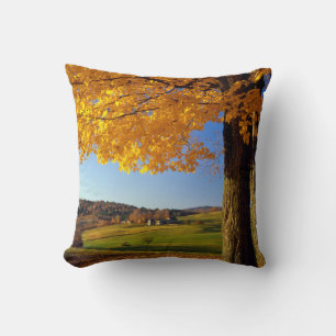 USA, Vermont. Farm Scenic Near South Woodstock Cushion
