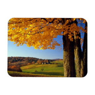USA, Vermont. Farm Scenic Near South Woodstock Magnet