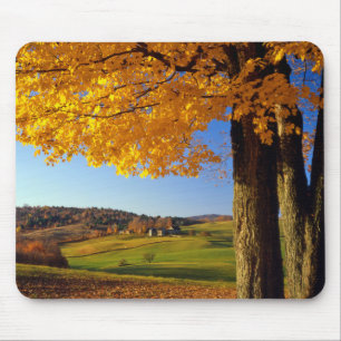 USA, Vermont. Farm Scenic Near South Woodstock Mouse Mat