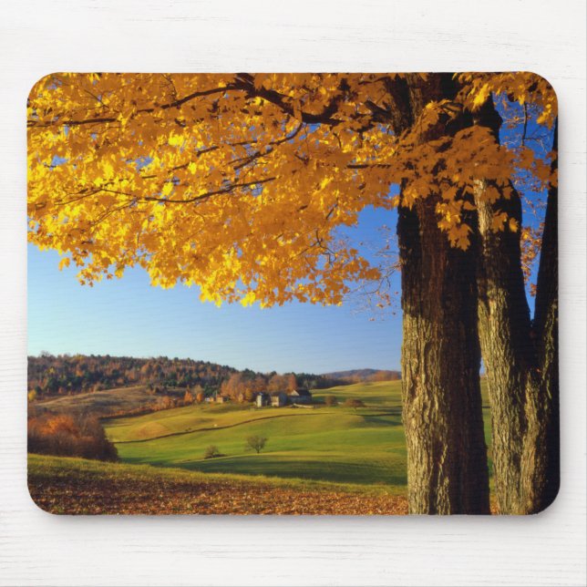 USA, Vermont. Farm Scenic Near South Woodstock Mouse Mat (Front)