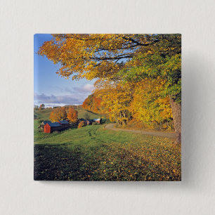 USA, Vermont, Jenne Farm. Fall comes to Jenne 15 Cm Square Badge
